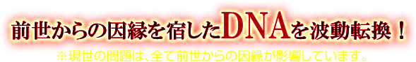 前世からの因縁を宿したDNAを波動転換！　※現世の問題は、全ての前世から因縁が影響しています。