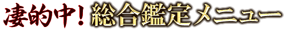 凄的中！　総合鑑定メニュー